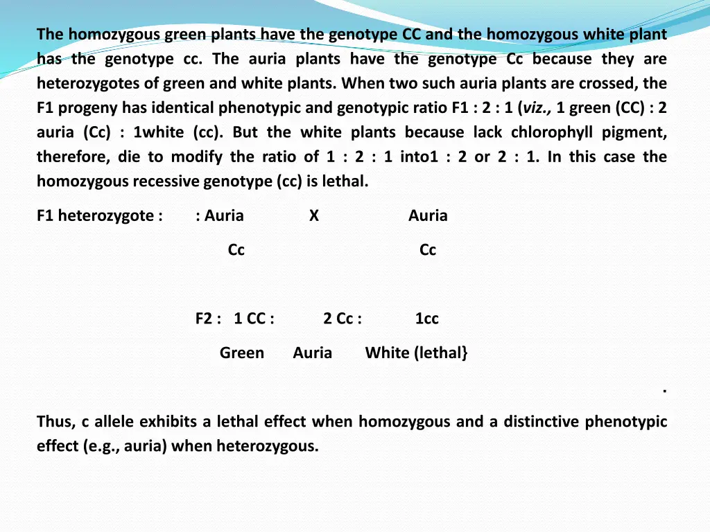 the homozygous green plants have the genotype