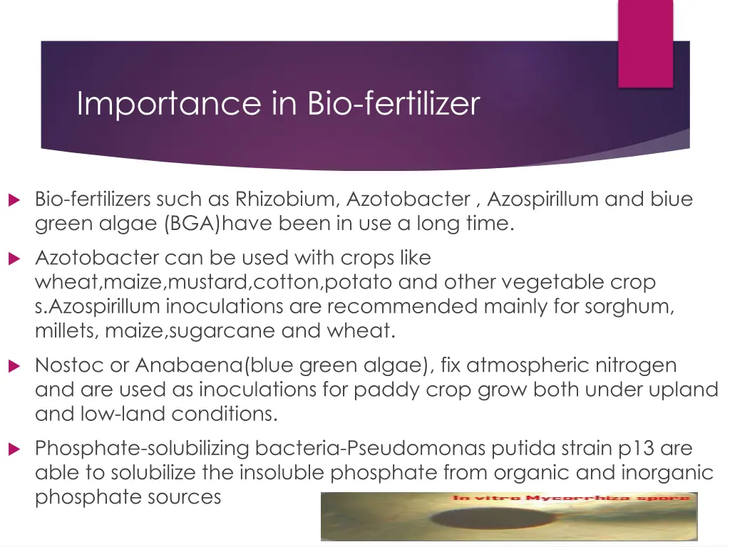 importance in bio fertilizer