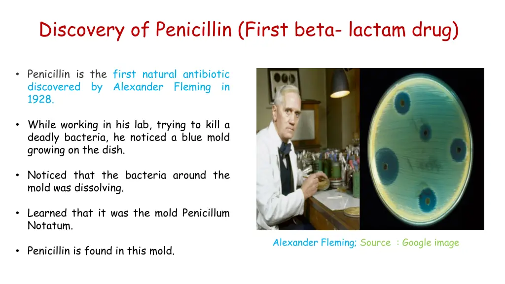 discovery of penicillin first beta lactam drug