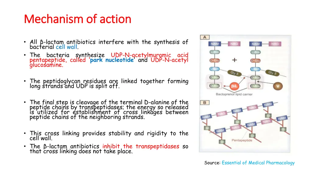 mechanism of action mechanism of action