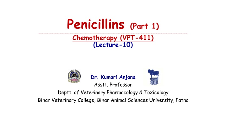 penicillins part 1 chemotherapy vpt 411 lecture 10