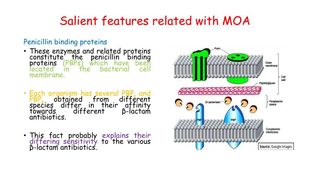 salient features related with moa