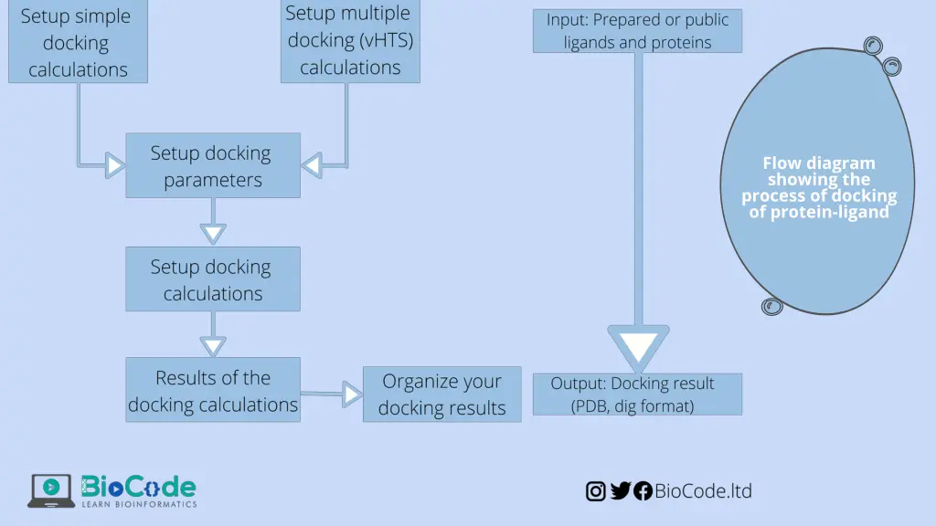 flow diagram showing the process of docking