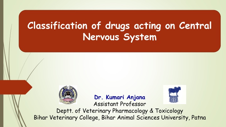 classification of drugs acting on central nervous