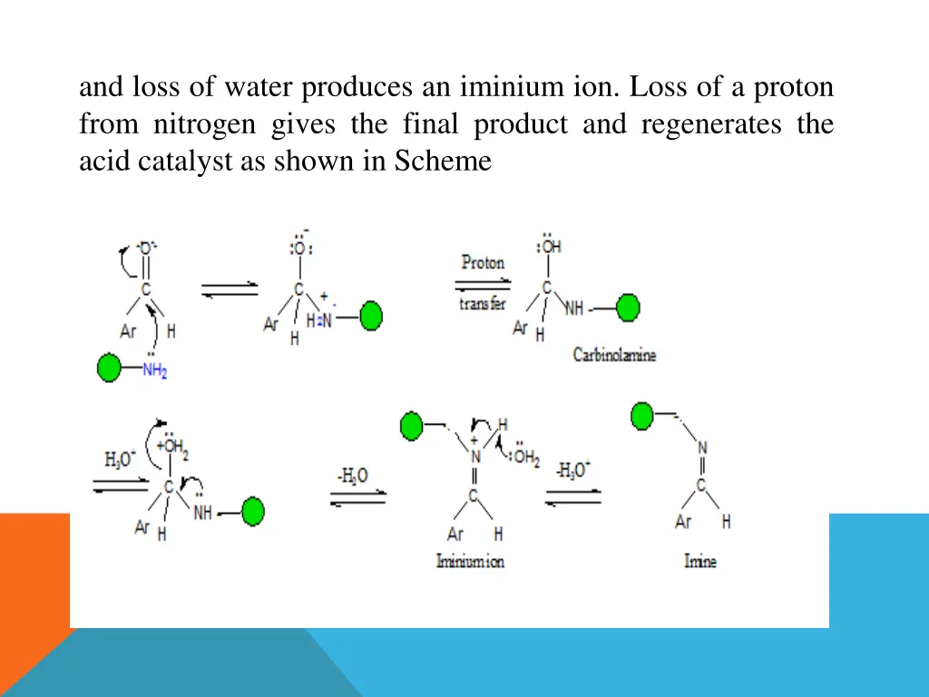 and loss of water produces an iminium ion loss