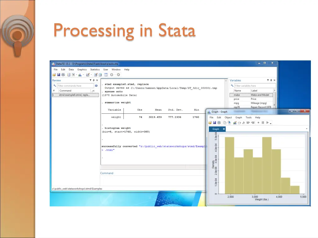 processing in stata