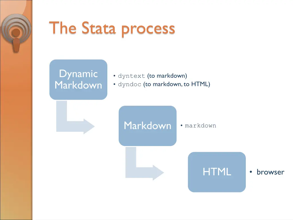 the stata process