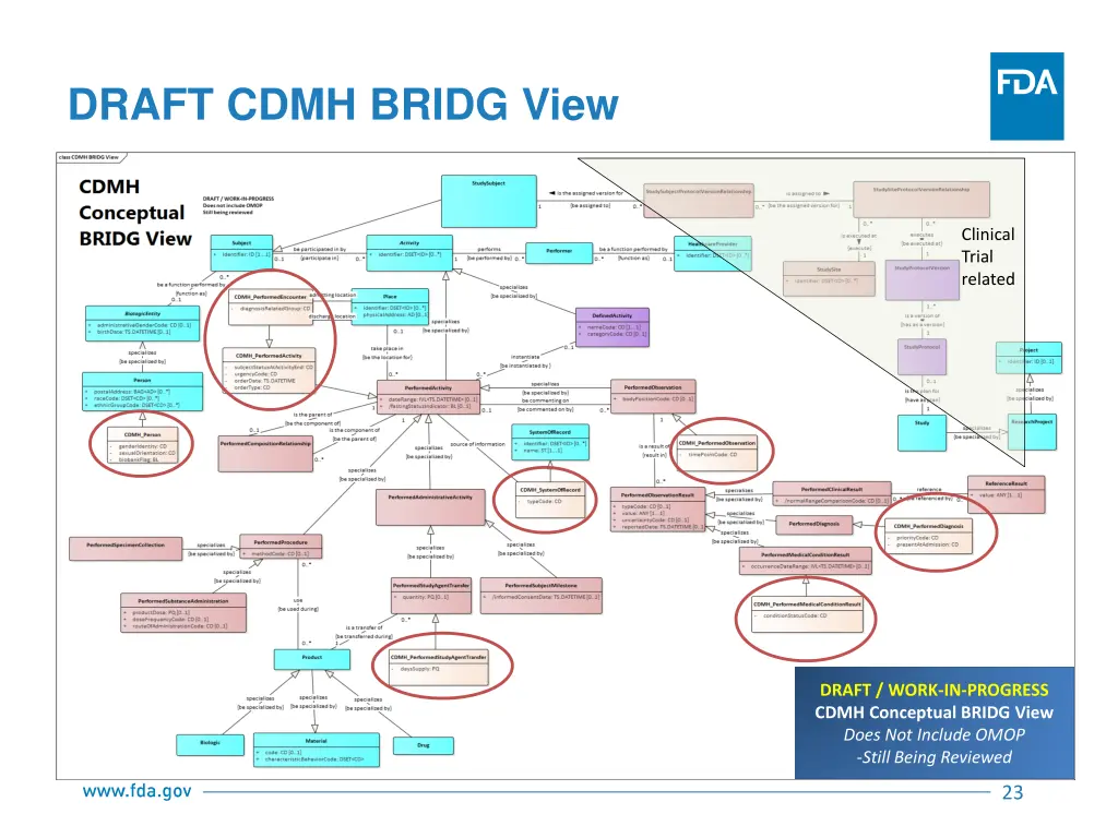 draft cdmh bridg view