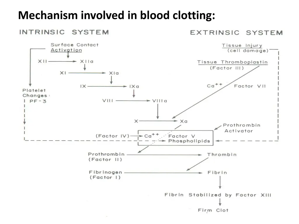 mechanism involved in blood clotting