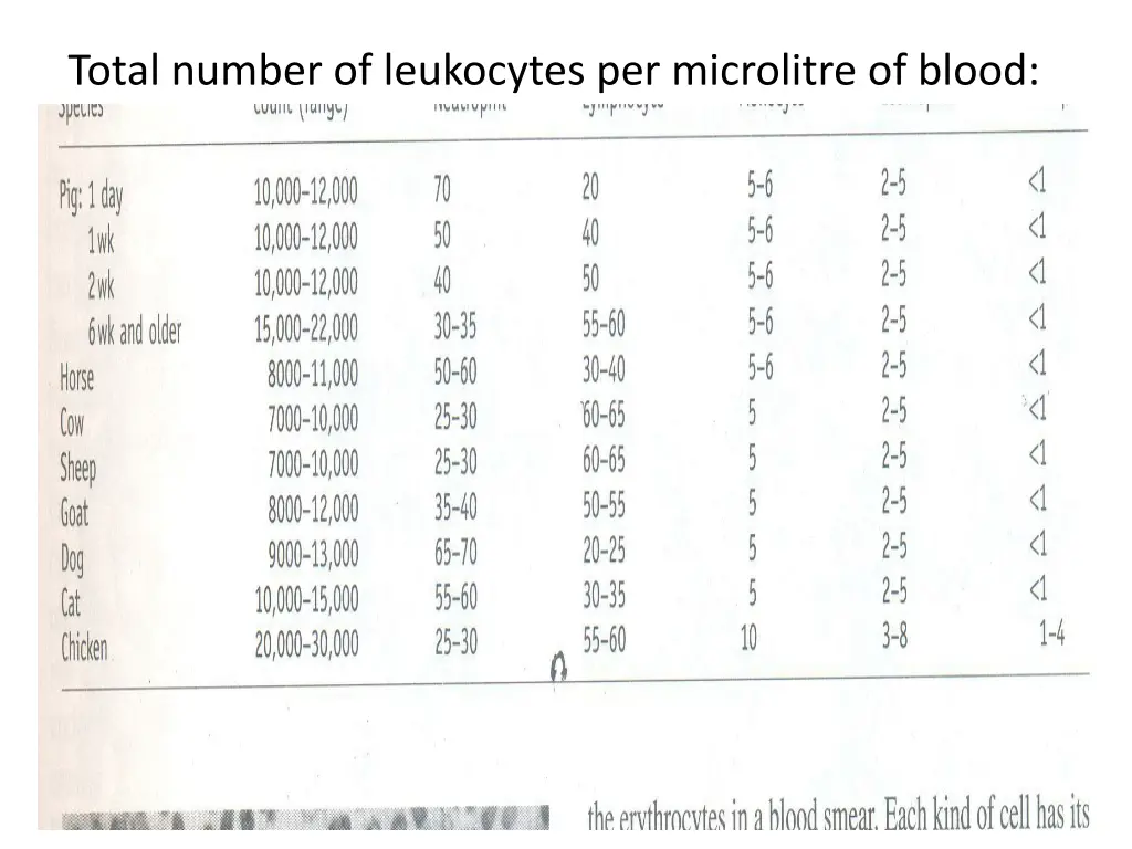 total number of leukocytes per microlitre of blood