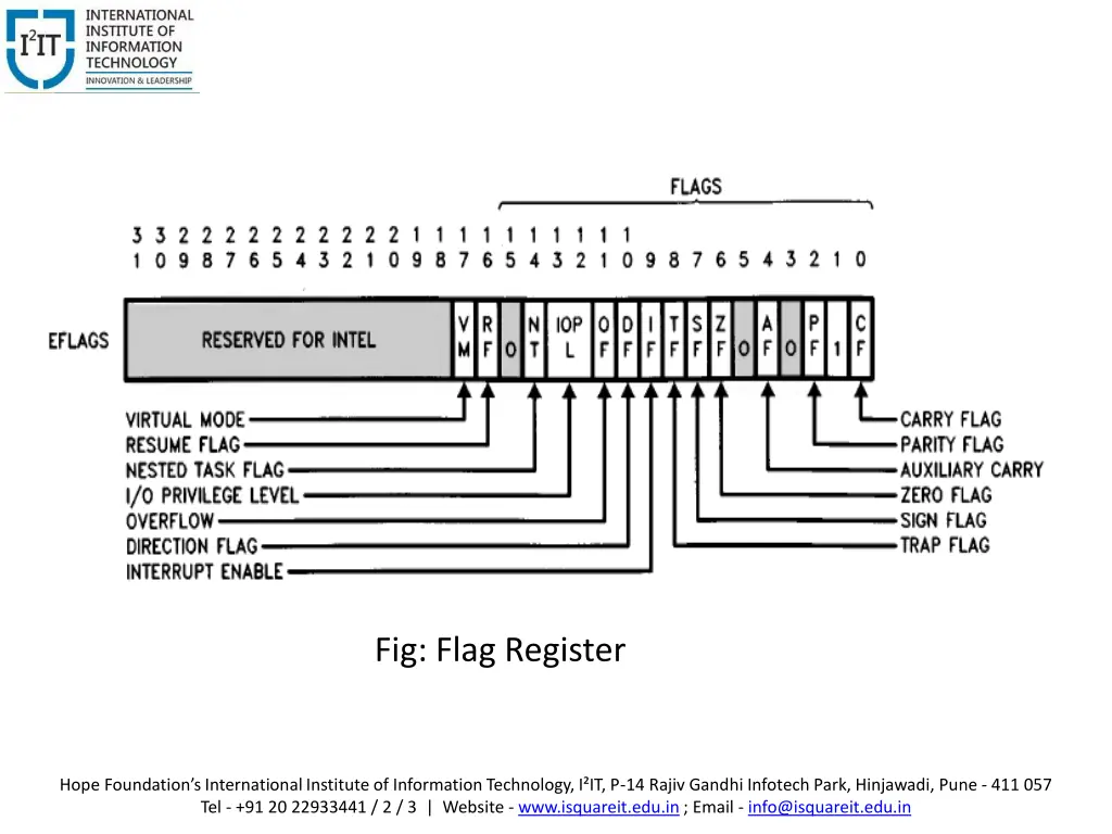 fig flag register