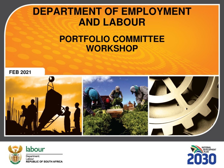 department of employment and labour