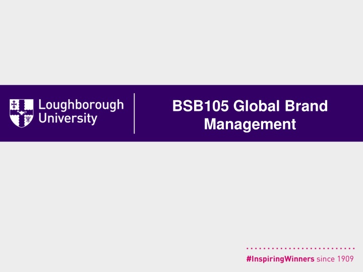 bsb105 global brand management