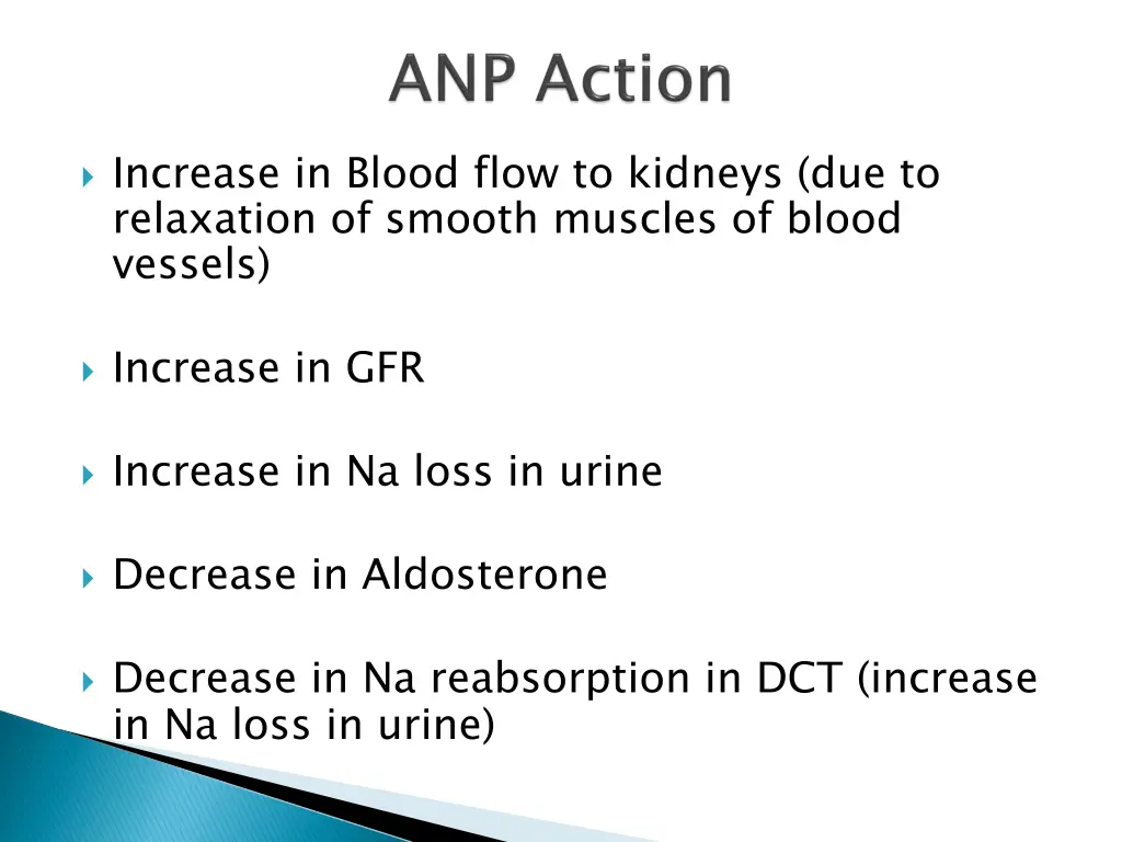 increase in blood flow to kidneys