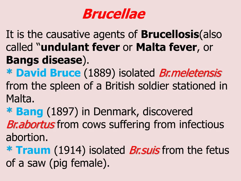 brucellae