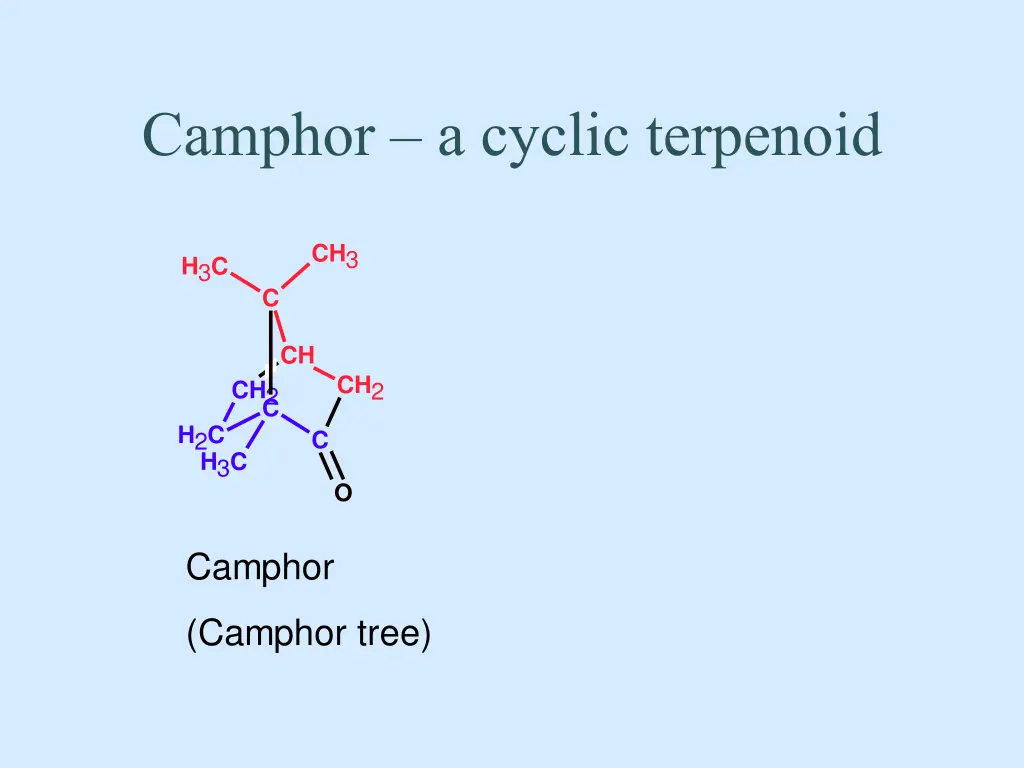 camphor a cyclic terpenoid