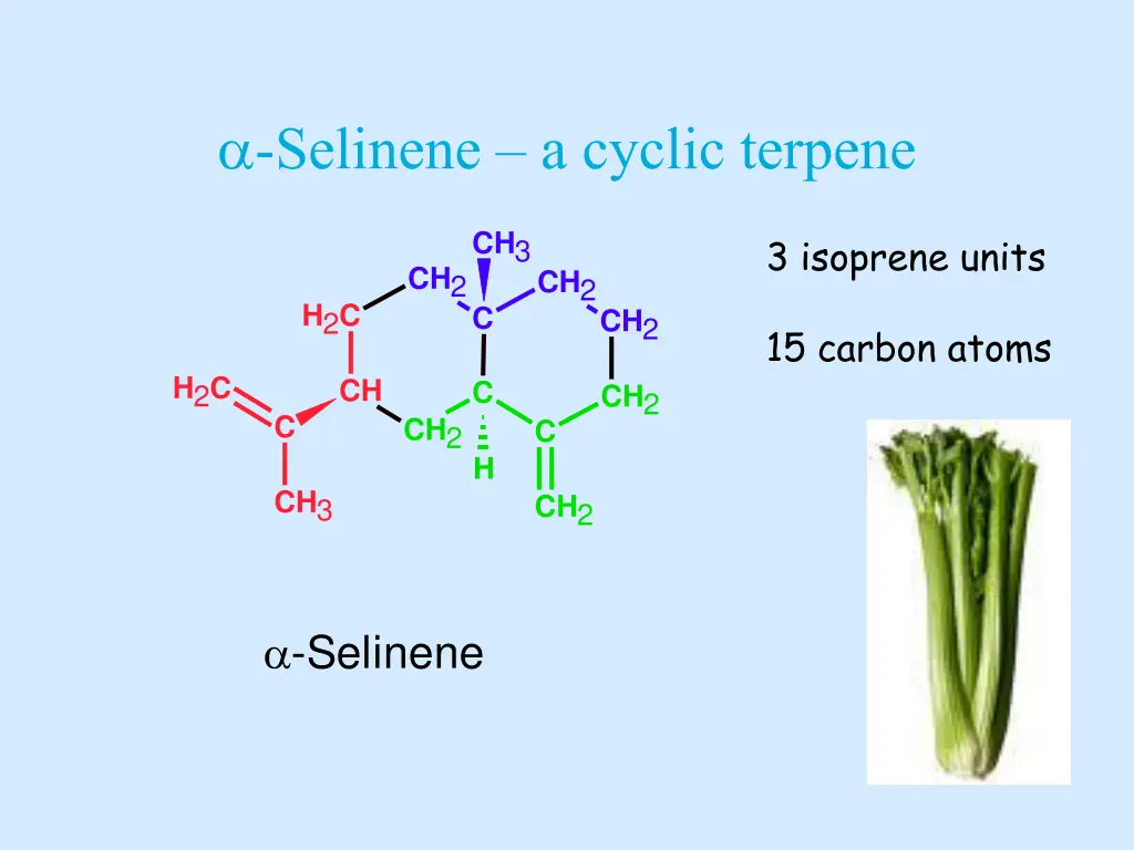 selinene a cyclic terpene