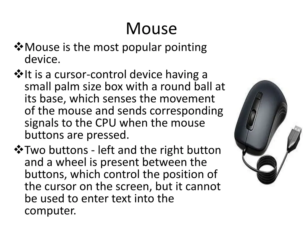 mouse