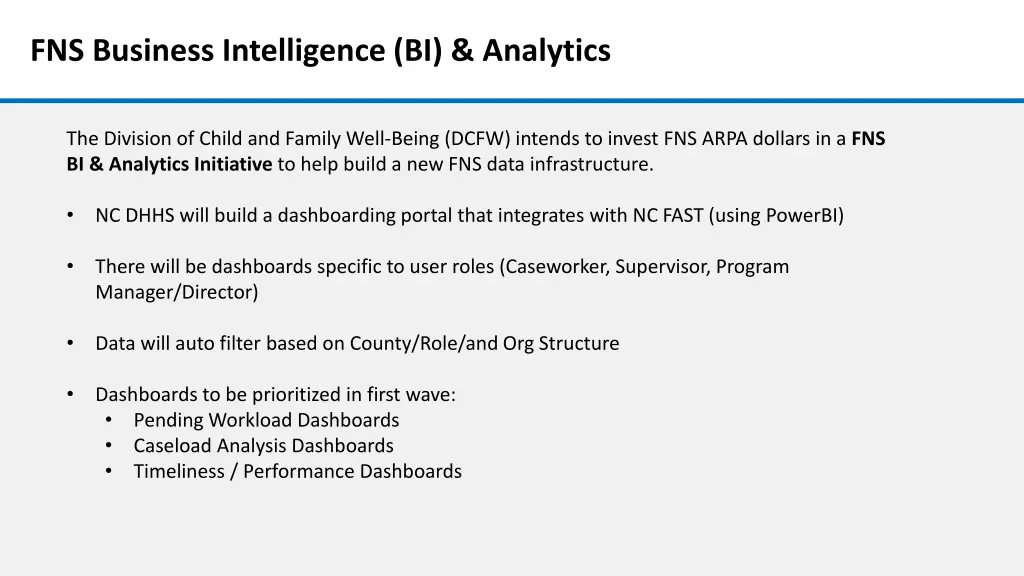 fns business intelligence bi analytics