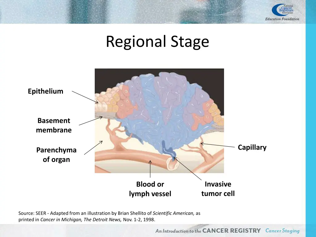 regional stage