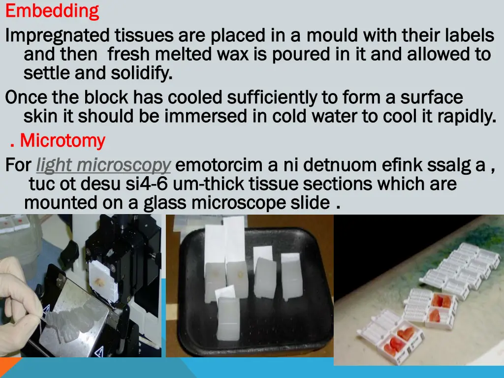 embedding embedding impregnated tissues