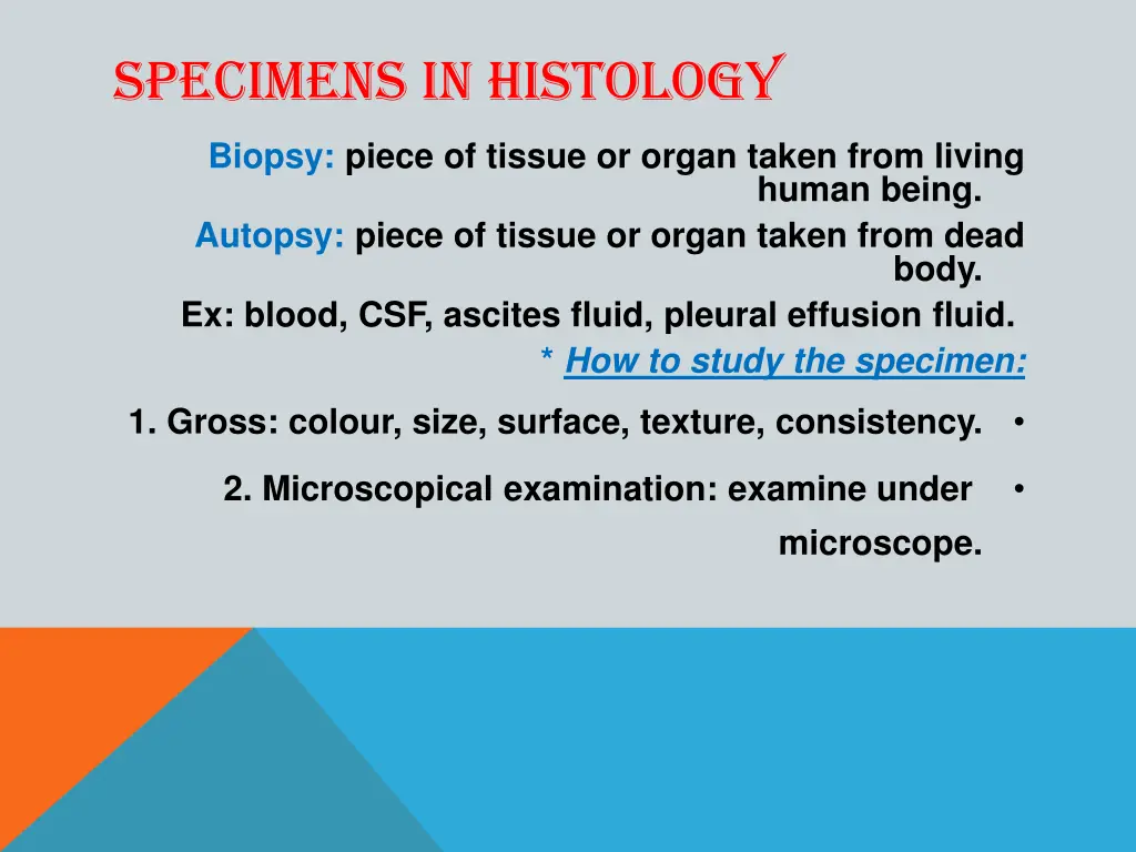 specimens in histology