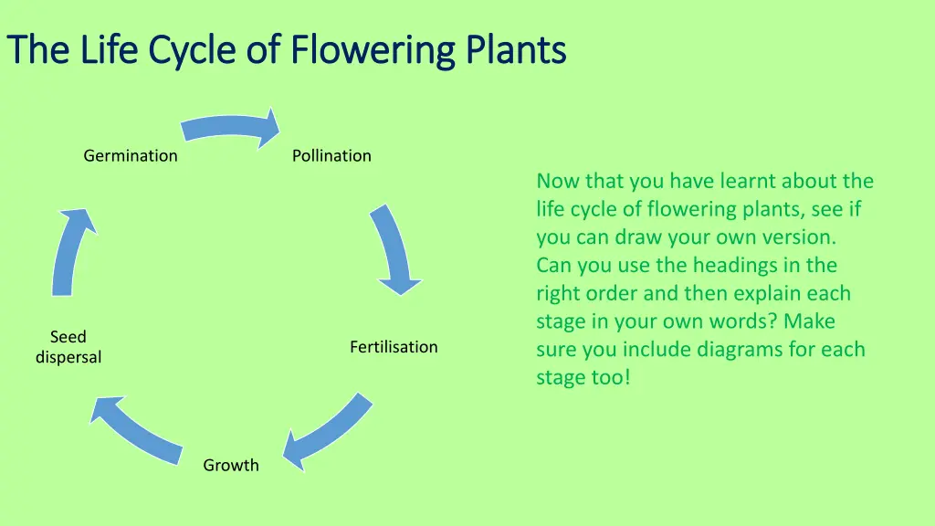 the life cycle of flowering plants the life cycle