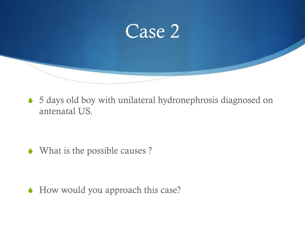 case 2