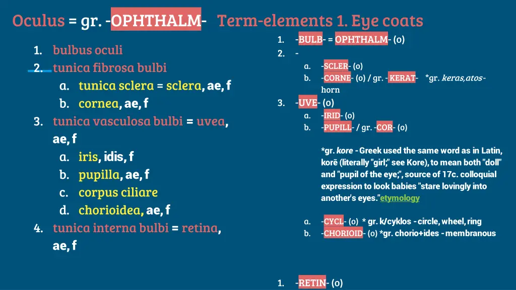 oculus gr ophthalm term elements 1 eye coats