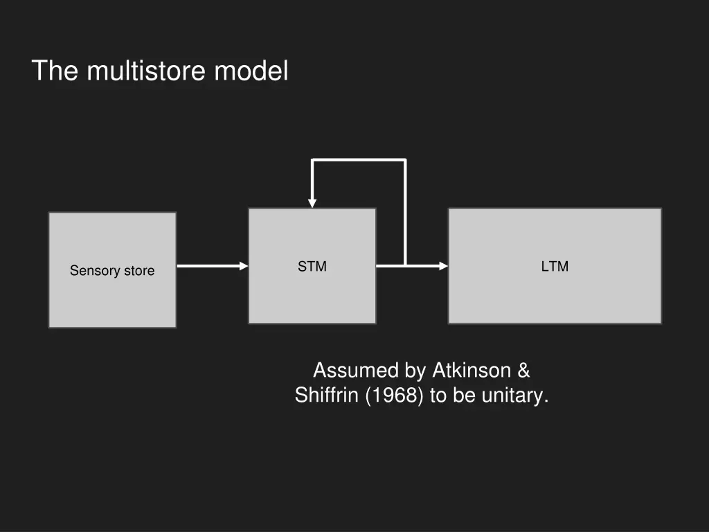 the multistore model