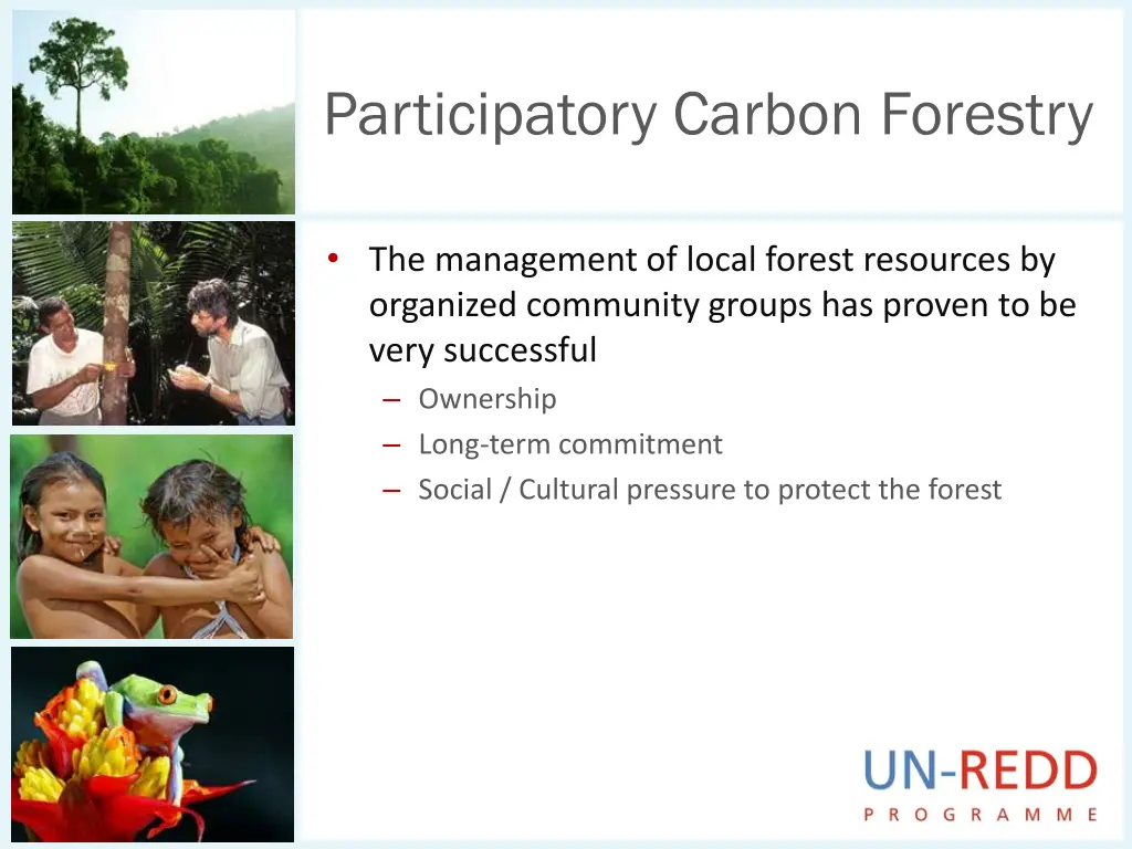 participatory carbon forestry