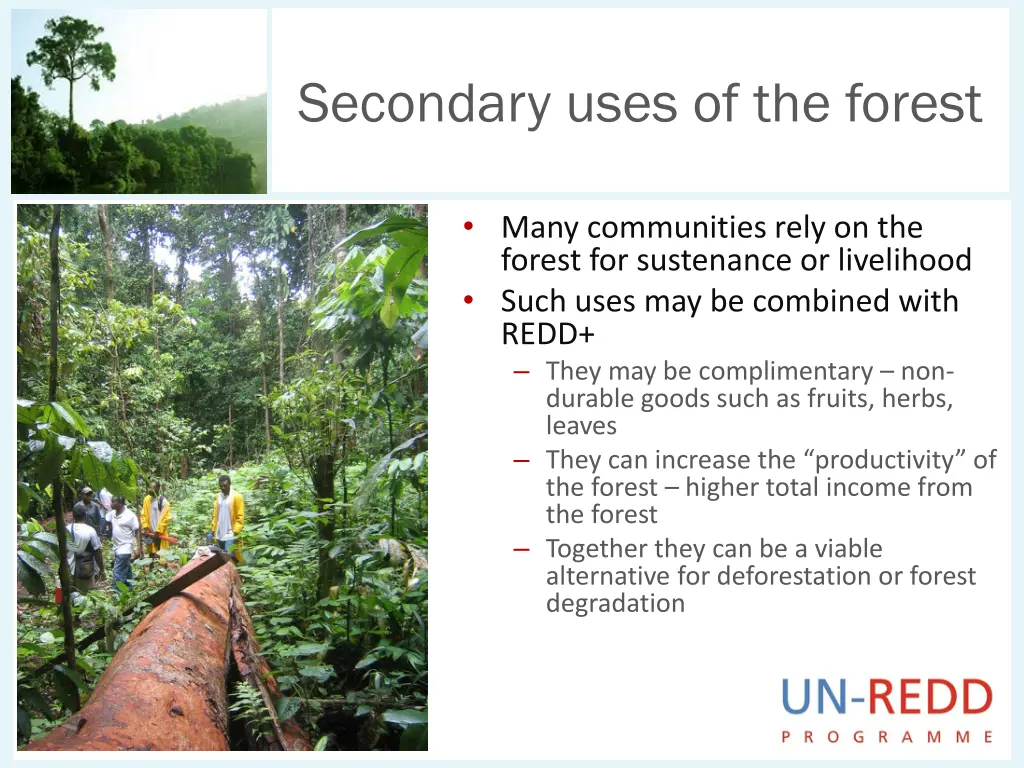 secondary uses of the forest