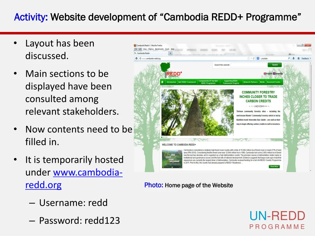 activity activity website development of cambodia