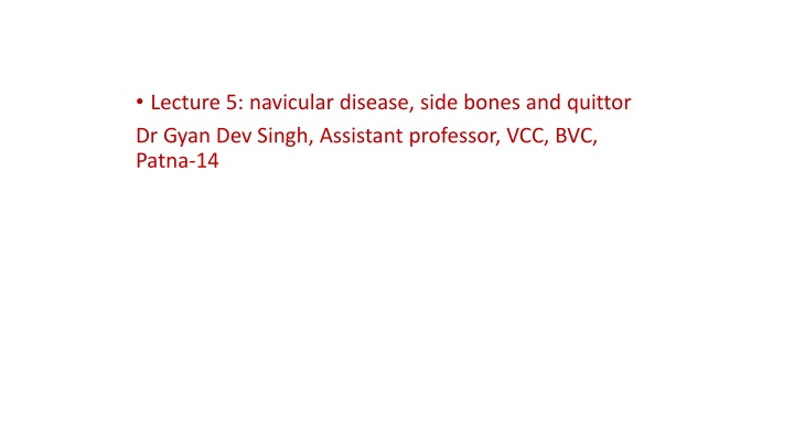 lecture 5 navicular disease side bones