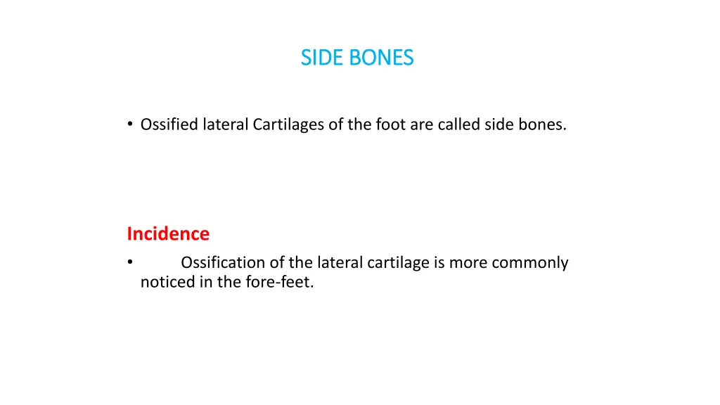 side bones side bones