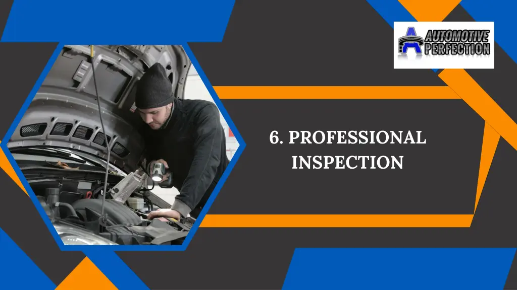 6 professional inspection