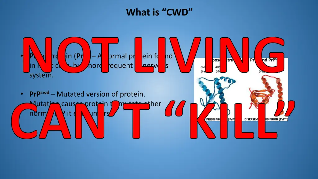 what is cwd