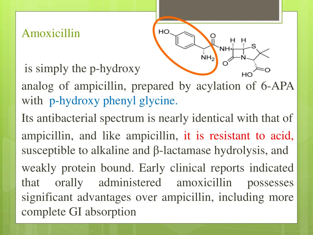 amoxicillin