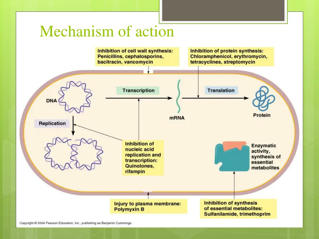 mechanism of action