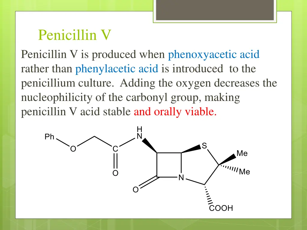 penicillin v penicillin v is produced when