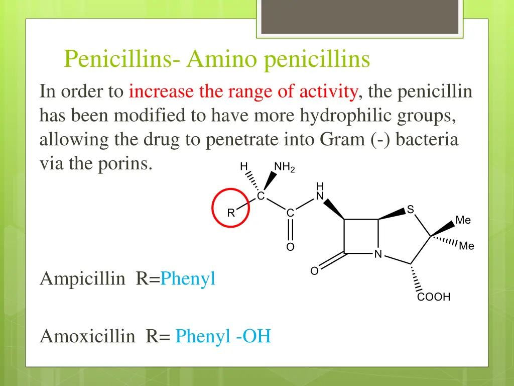 penicillins amino penicillins in order