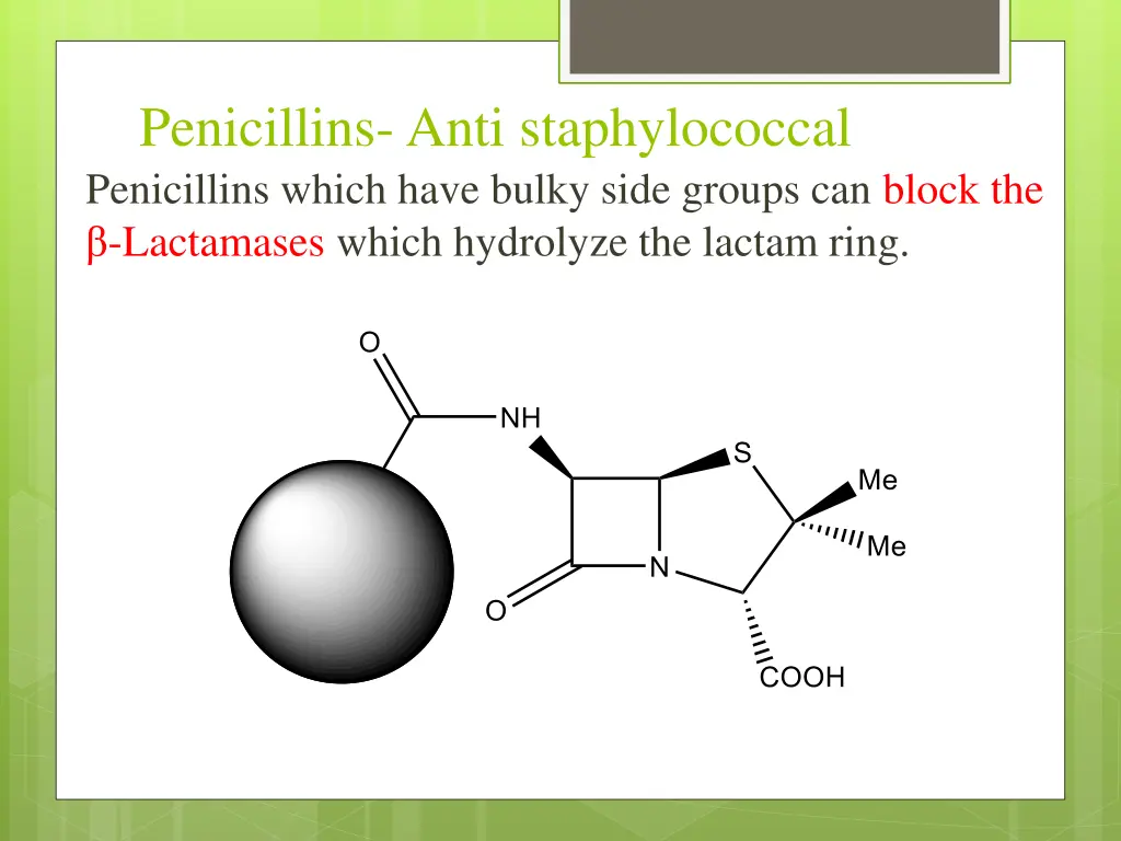 penicillins anti staphylococcal penicillins which