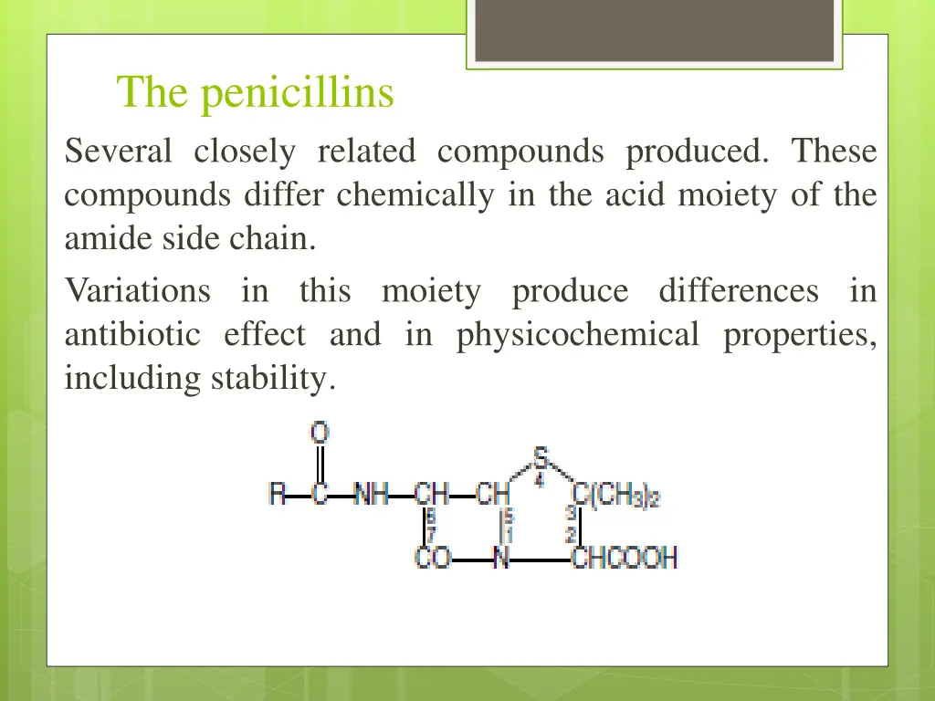 the penicillins several closely related compounds