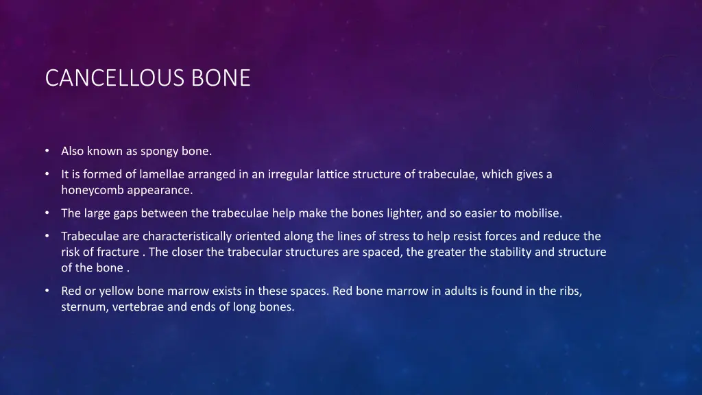 cancellous bone