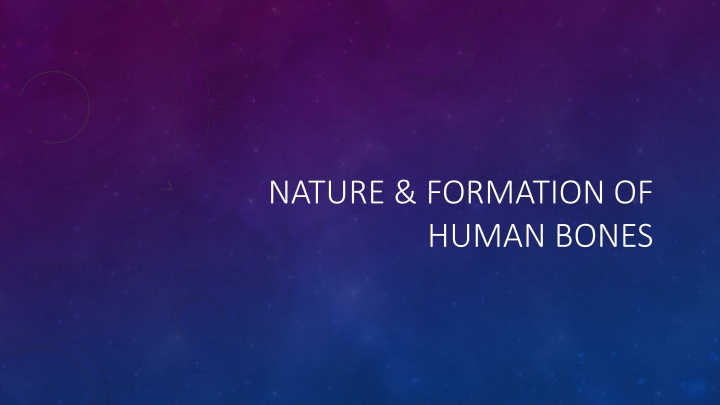 nature formation of human bones