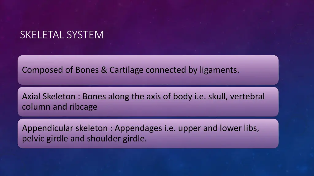 skeletal system