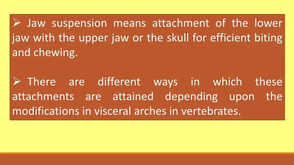 jaw suspension means attachment of the lower