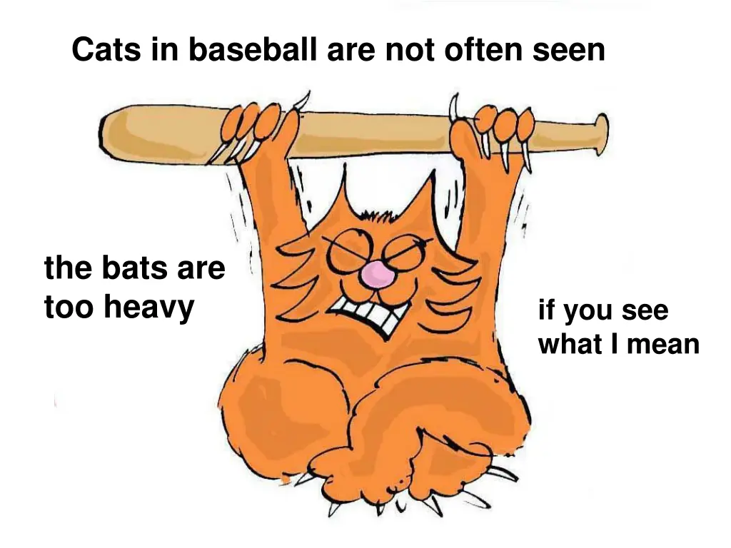 cats in baseball are not often seen