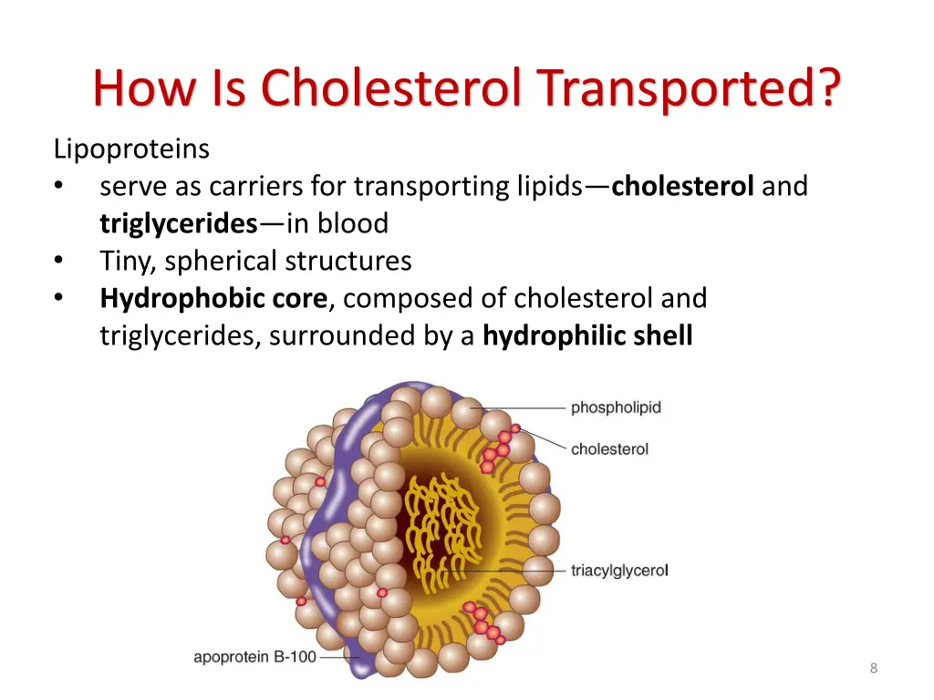 how is cholesterol transported lipoproteins serve