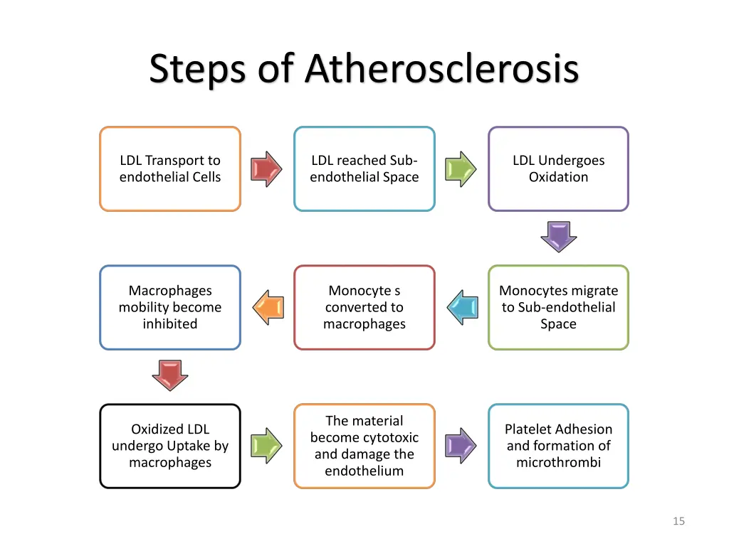 steps of atherosclerosis